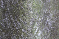 Squires Gate fibreglass roof work